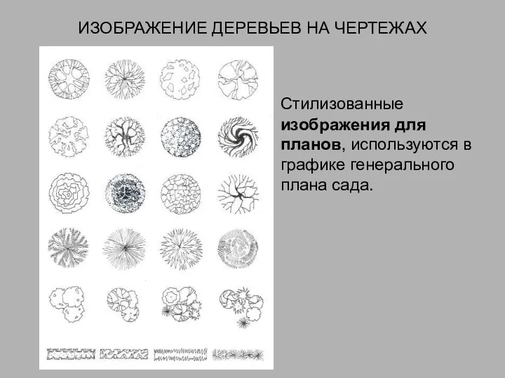 ИЗОБРАЖЕНИЕ ДЕРЕВЬЕВ НА ЧЕРТЕЖАХ Стилизованные изображения для планов, используются в графике генерального плана сада.