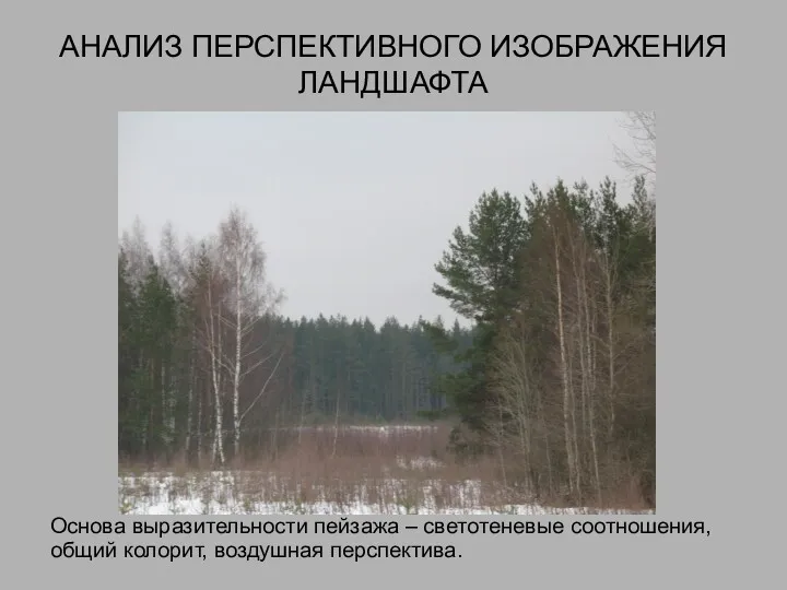 АНАЛИЗ ПЕРСПЕКТИВНОГО ИЗОБРАЖЕНИЯ ЛАНДШАФТА Основа выразительности пейзажа – светотеневые соотношения, общий колорит, воздушная перспектива.