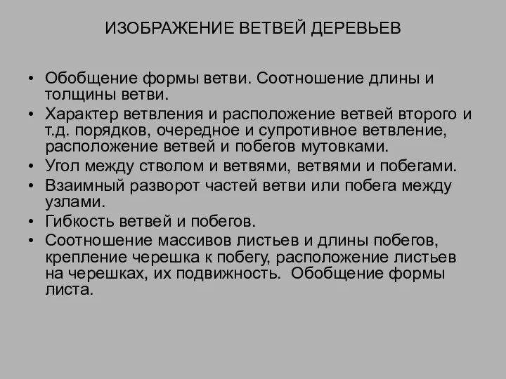 ИЗОБРАЖЕНИЕ ВЕТВЕЙ ДЕРЕВЬЕВ Обобщение формы ветви. Соотношение длины и толщины