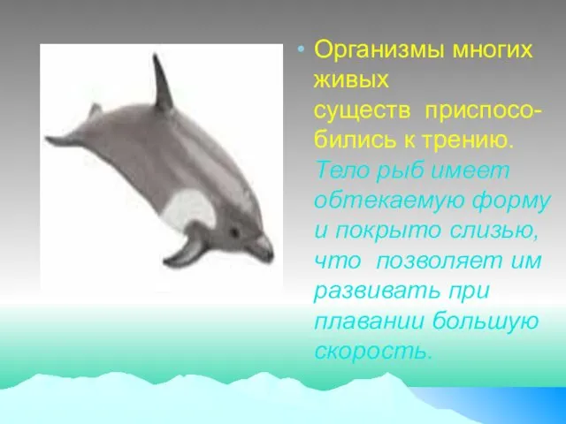 Организмы многих живых существ приспосо-бились к трению. Тело рыб имеет обтекаемую форму и