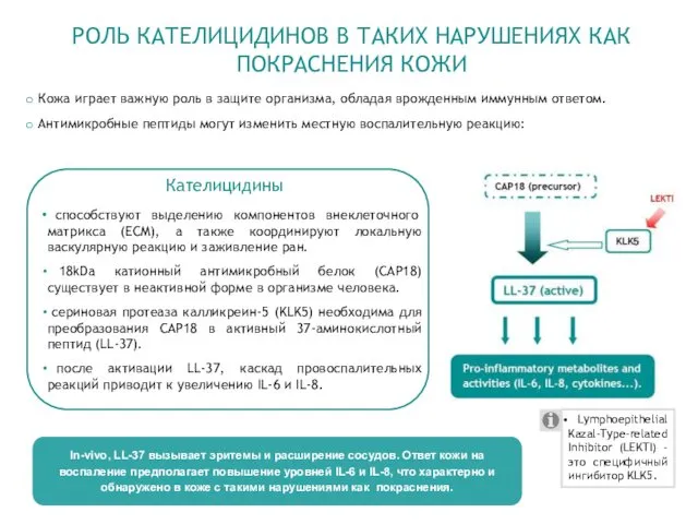 In-vivo, LL-37 вызывает эритемы и расширение сосудов. Ответ кожи на