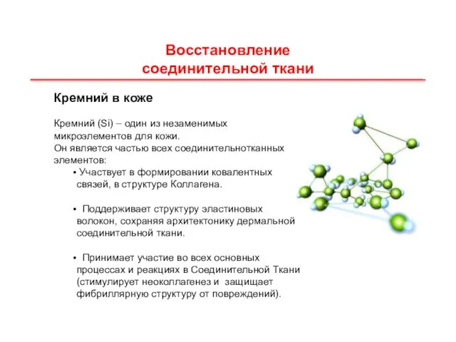 Кремний в коже Кремний (Si) – один из незаменимых микроэлементов