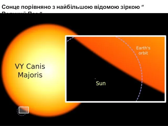 Сонце порівняно з найбільшою відомою зіркою “ Великий Пес ”
