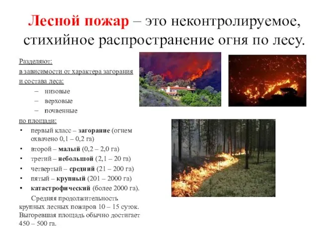 Лесной пожар – это неконтролируемое, стихийное распространение огня по лесу.