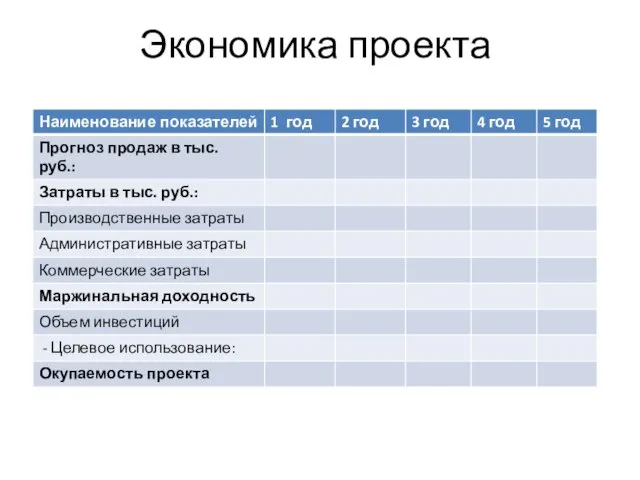 Экономика проекта