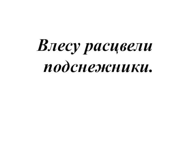 Влесу расцвели подснежники.