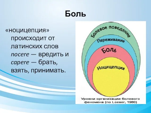 Боль «ноцицепция» происходит от латинских слов nocere — вредить и capere — брать, взять, принимать.