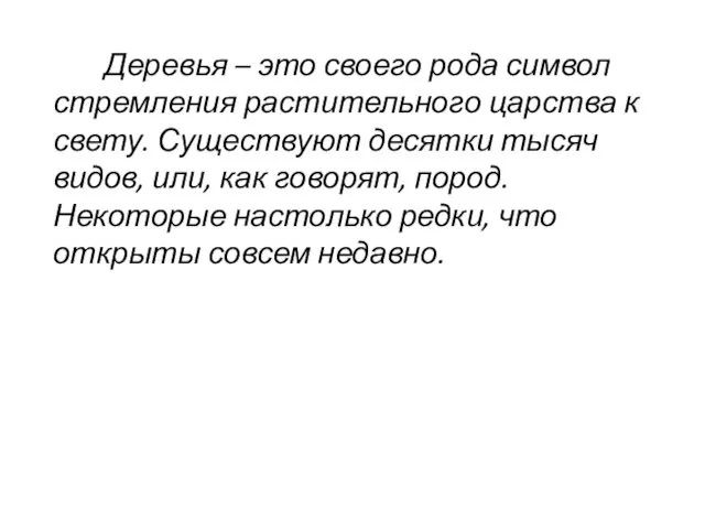 Деревья – это своего рода символ стремления растительного царства к свету. Существуют десятки