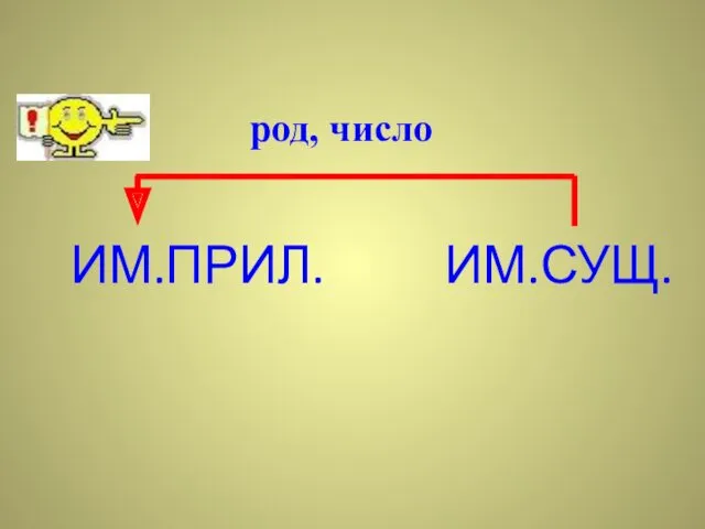 ИМ.ПРИЛ. ИМ.СУЩ. род, число