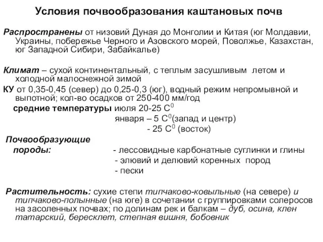 Условия почвообразования каштановых почв Распространены от низовий Дуная до Монголии