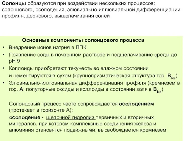 Солонцы образуются при воздействии нескольких процессов: солонцового, осолодения, элювиально-иллювиальной дифференциации