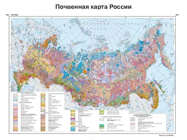 Почвенная карта России