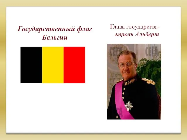 Государственный флаг Бельгии Глава государства- король Альберт