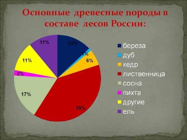 Основные древесные породы в составе лесов России: