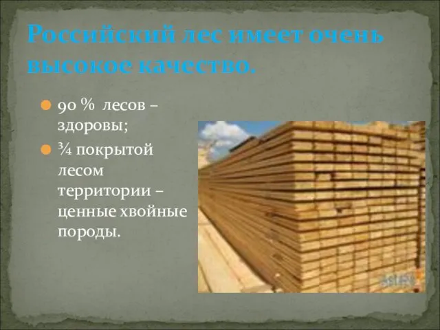 Российский лес имеет очень высокое качество. 90 % лесов – здоровы; ¾ покрытой