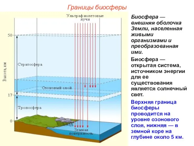 Границы биосферы Биосфера — внешняя оболочка Земли, населенная живыми организмами