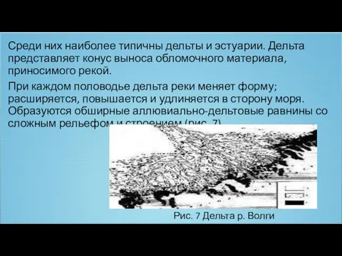 Среди них наиболее типичны дельты и эстуарии. Дельта представляет конус