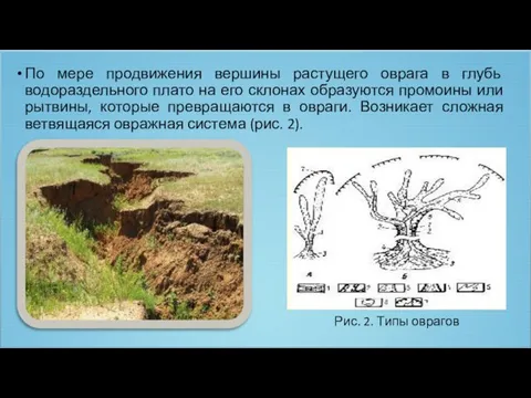 По мере продвижения вершины растущего оврага в глубь водораздельного плато