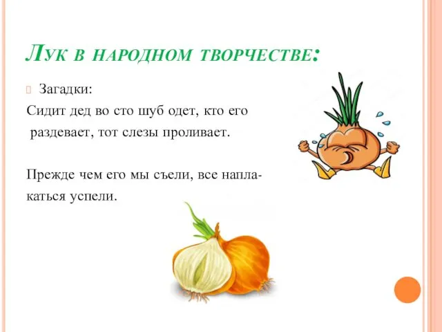 Лук в народном творчестве: Загадки: Сидит дед во сто шуб