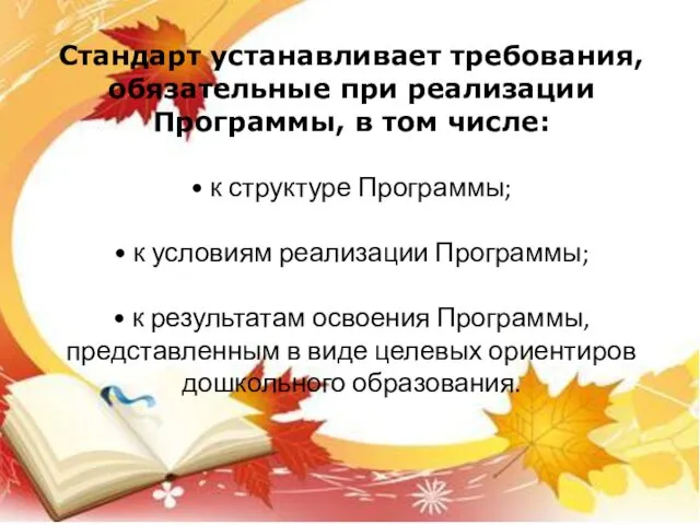 Стандарт устанавливает требования, обязательные при реализации Программы, в том числе: