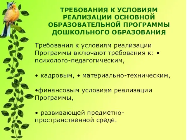 ТРЕБОВАНИЯ К УСЛОВИЯМ РЕАЛИЗАЦИИ ОСНОВНОЙ ОБРАЗОВАТЕЛЬНОЙ ПРОГРАММЫ ДОШКОЛЬНОГО ОБРАЗОВАНИЯ Требования к условиям реализации