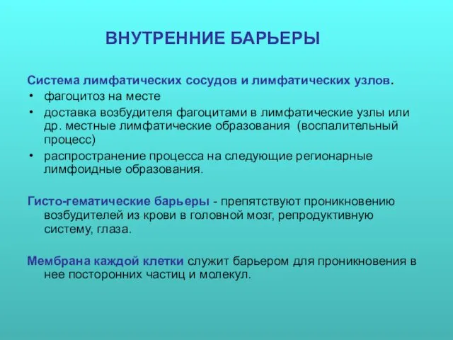 ВНУТРЕННИЕ БАРЬЕРЫ Система лимфатических сосудов и лимфатических узлов. фагоцитоз на