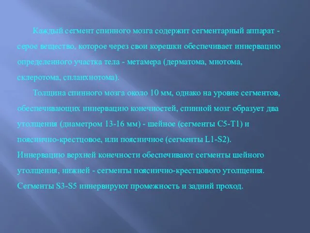 Каждый сег­мент спинного мозга содержит сегментарный аппарат - серое вещество,