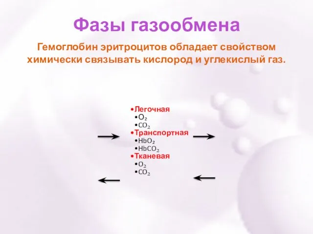 Фазы газообмена Легочная О₂ CO₂ Транспортная HbO₂ HbCO₂ Тканевая O₂