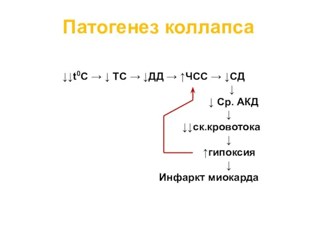 Патогенез коллапса ↓↓t0C → ↓ ТС → ↓ДД → ↑ЧСС