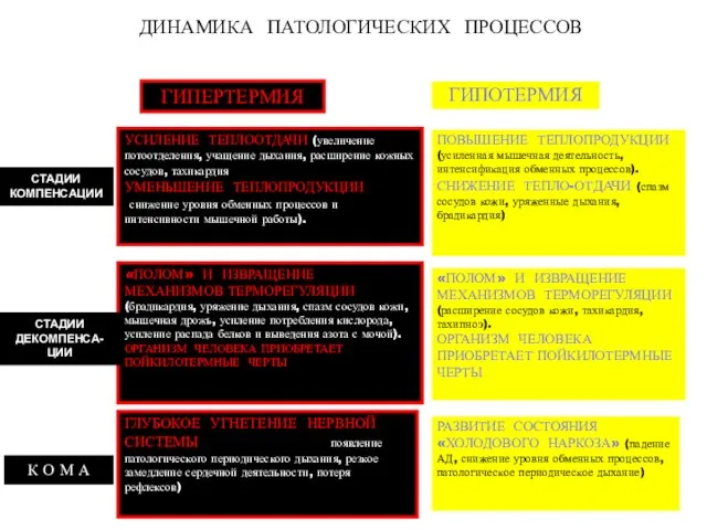 ДИНАМИКА ПАТОЛОГИЧЕСКИХ ПРОЦЕССОВ УСИЛЕНИЕ ТЕПЛООТДАЧИ (увеличение потоотделения, учащение дыхания, расширение