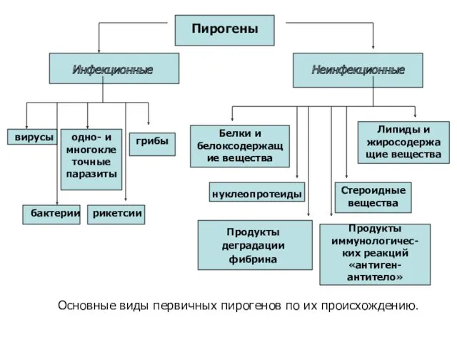 Пирогены Инфекционные Неинфекционные вирусы одно- и многоклеточные паразиты грибы бактерии