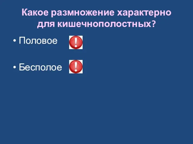 Какое размножение характерно для кишечнополостных? Половое Бесполое