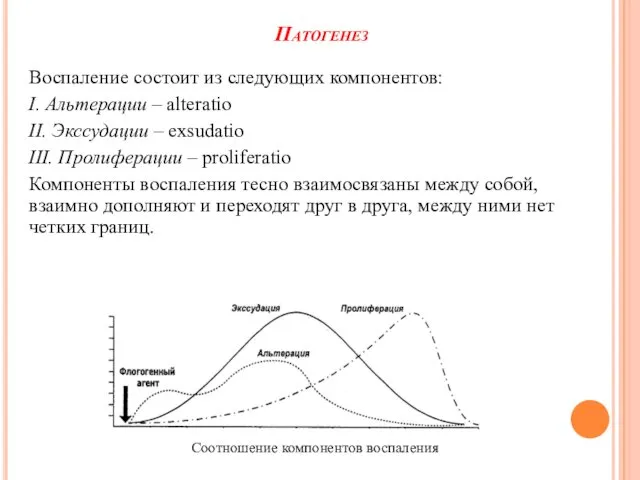 Патогенез Воспаление состоит из следующих компонентов: I. Альтерации – alteratio II. Экссудации –