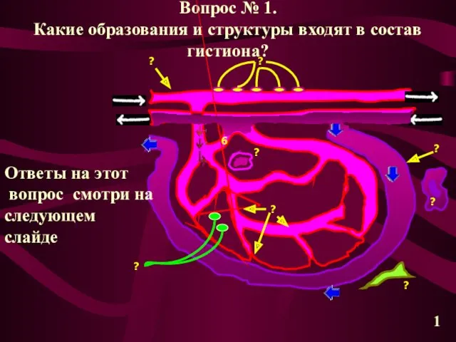 Вопрос № 1. Какие образования и структуры входят в состав