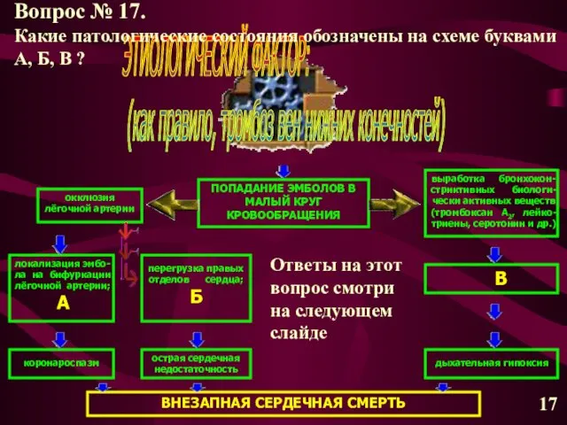 ЭТИОЛОГИЧЕСКИЙ ФАКТОР: (как правило, тромбоз вен нижних конечностей) ПОПАДАНИЕ ЭМБОЛОВ