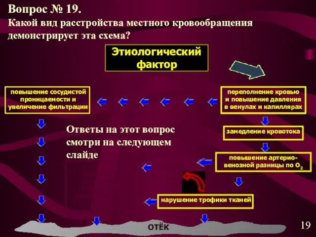 повышение сосудистой проницаемости и увеличение фильтрации переполнение кровью и повышение