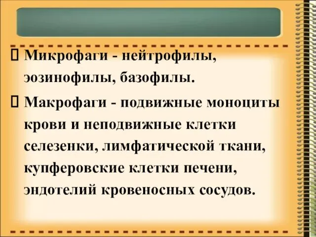 Микрофаги - нейтрофилы, эозинофилы, базофилы. Макрофаги - подвижные моноциты крови