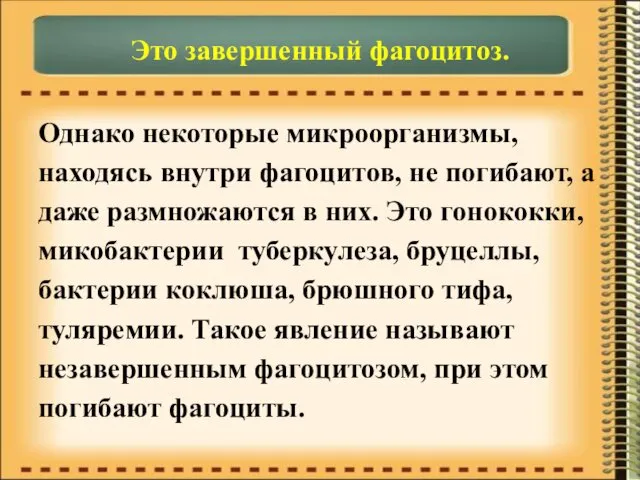 Это завершенный фагоцитоз. Однако некоторые микроорганизмы, находясь внутри фагоцитов, не