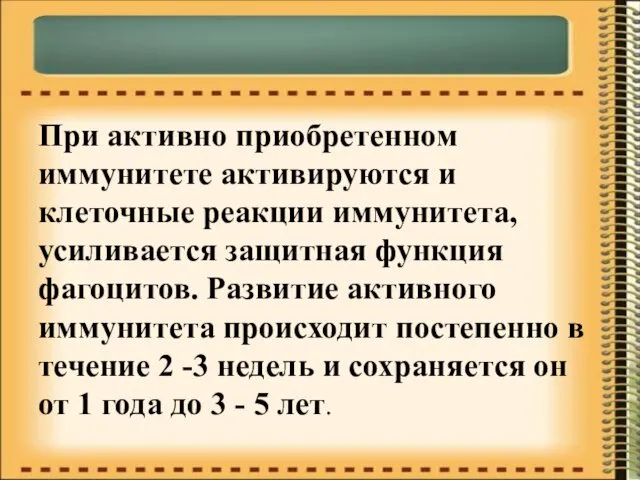 При активно приобретенном иммунитете активируются и клеточные реакции иммунитета, усиливается