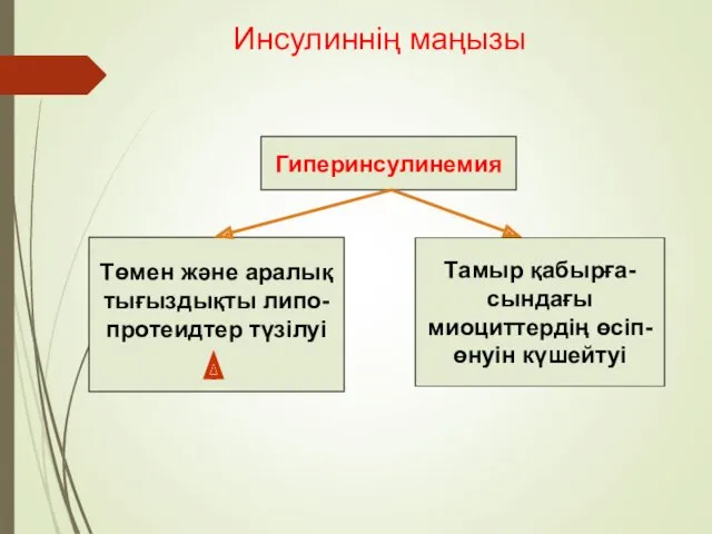 Гиперинсулинемия Төмен және аралық тығыздықты липо- протеидтер түзілуі Тамыр қабырға-