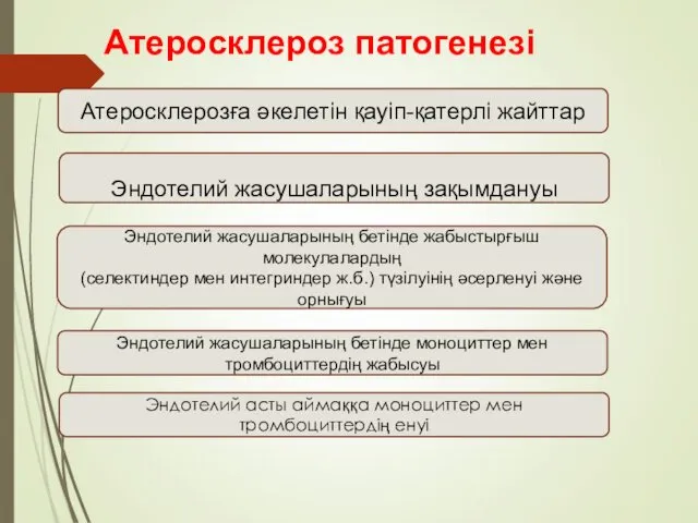 Атеросклероз патогенезі Атеросклерозға әкелетін қауіп-қатерлі жайттар Эндотелий жасушаларының зақымдануы Эндотелий