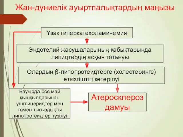 Ұзақ гиперкатехоламинемия Эндотелий жасушаларының қабықтарында липидтердің асқын тотығуы Олардың β-липопротеидтерге