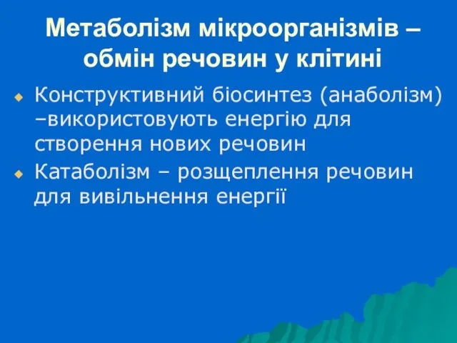 Метаболізм мікроорганізмів – обмін речовин у клітині Конструктивний біосинтез (анаболізм)