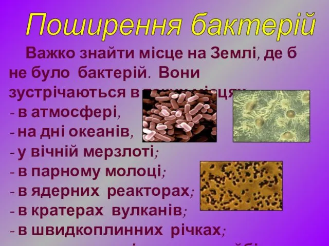 Важко знайти місце на Землі, де б не було бактерій.