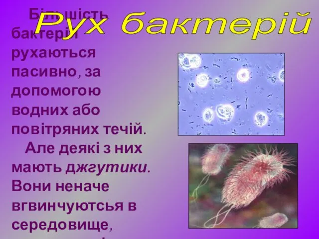 Більшість бактерій рухаються пасивно, за допомогою водних або повітряних течій.