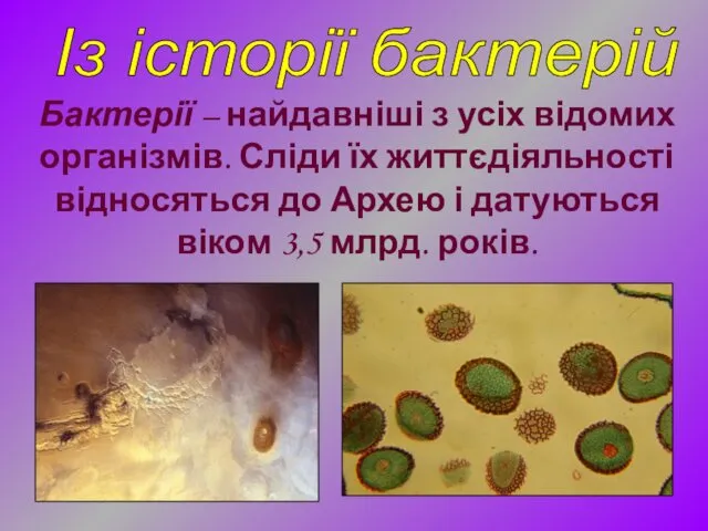 Бактерії – найдавніші з усіх відомих організмів. Сліди їх життєдіяльності