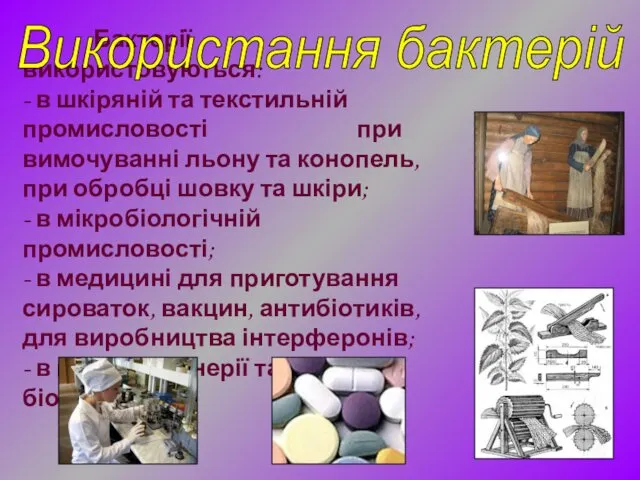 Бактерії використовуються: - в шкіряній та текстильній промисловості при вимочуванні