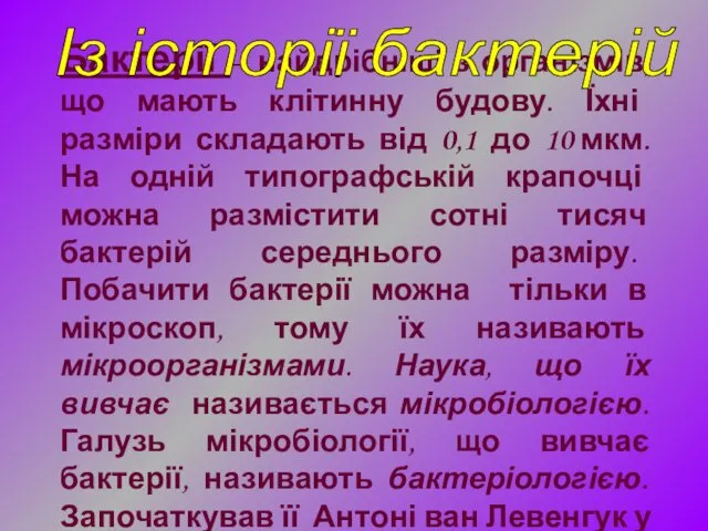 Бактерії – найдрібніші з організмів, що мають клітинну будову. Їхні