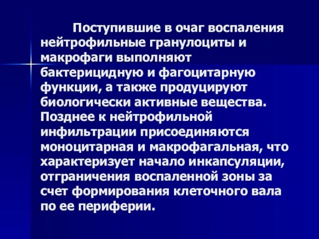 Поступившие в очаг воспаления нейтрофильные гранулоциты и макрофаги выполняют бактерицидную