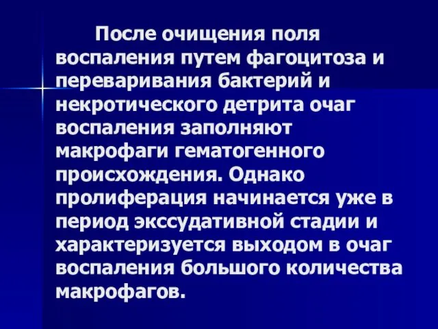 После очищения поля воспаления путем фагоцитоза и переваривания бактерий и некротического детрита очаг